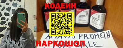стафф Гай