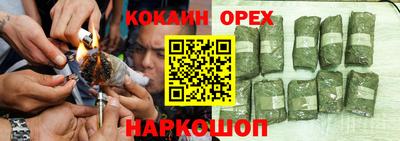 гашик Гатчина