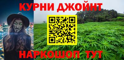 стафф Гай