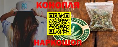стафф Гай