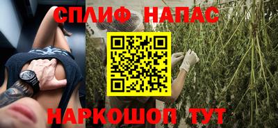 гашик Гатчина
