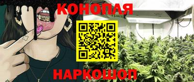 гашик Гатчина