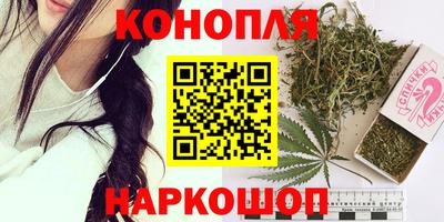 стафф Гай