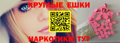 стафф Гай