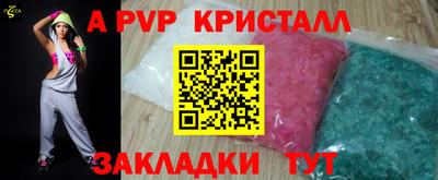 стафф Гай