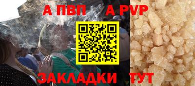 гашик Гатчина