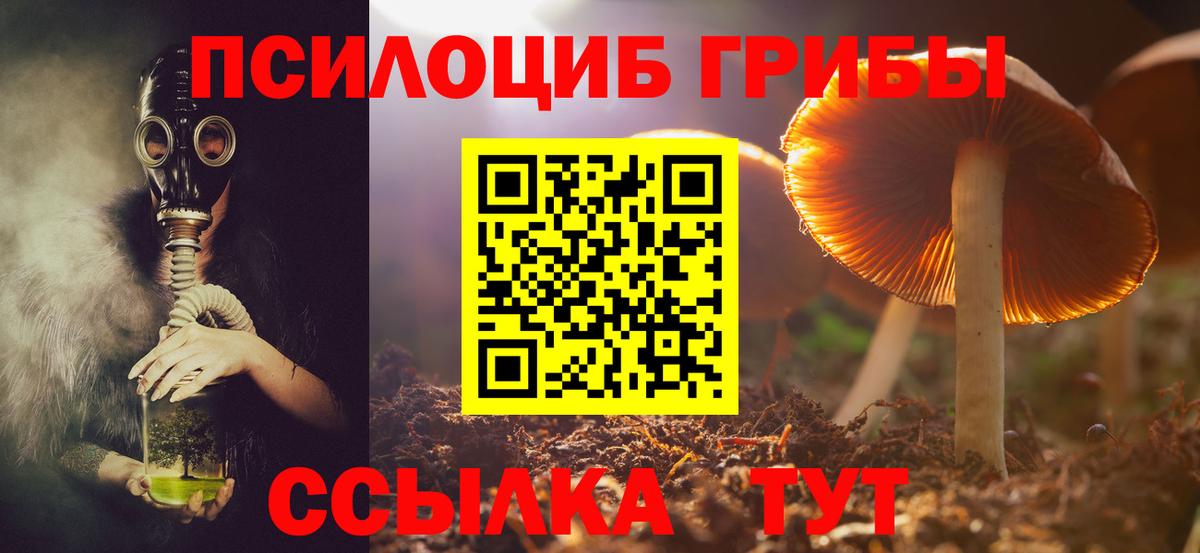 Губаха  цены наркотик  Вход с VPN  Псилоцибиновые грибы ЛСД 
